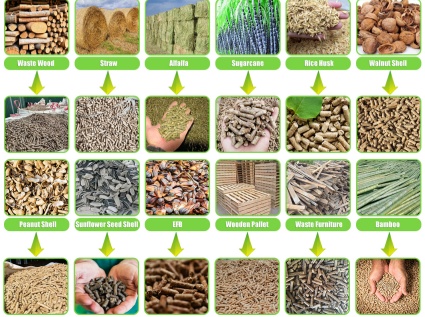 What are the "gold standards" for selecting raw materials for biomass pellet processing?