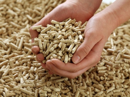 Biomass pellet energy is shifting from a "supplementary energy source" to a "mainstay" in the energy sector.