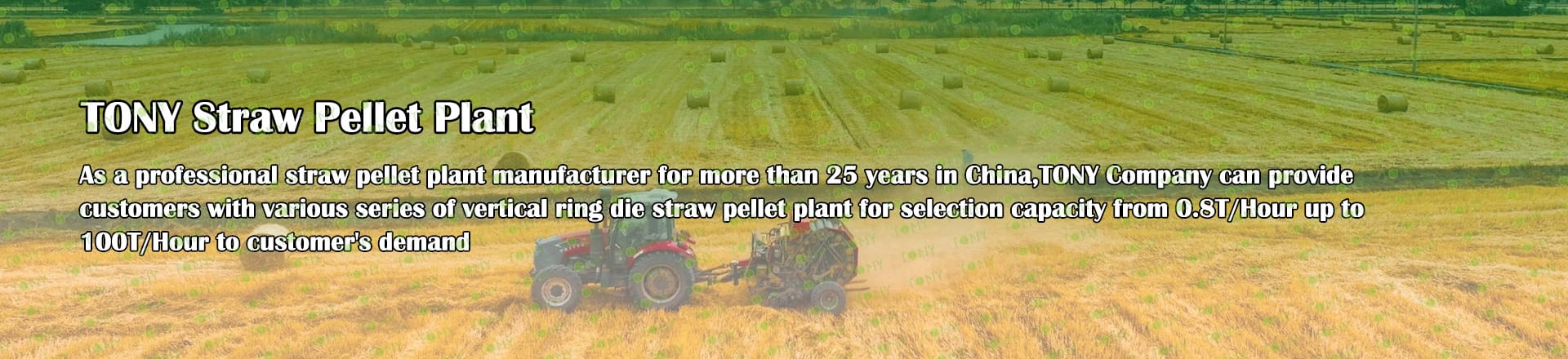 Straw Pellet Plant