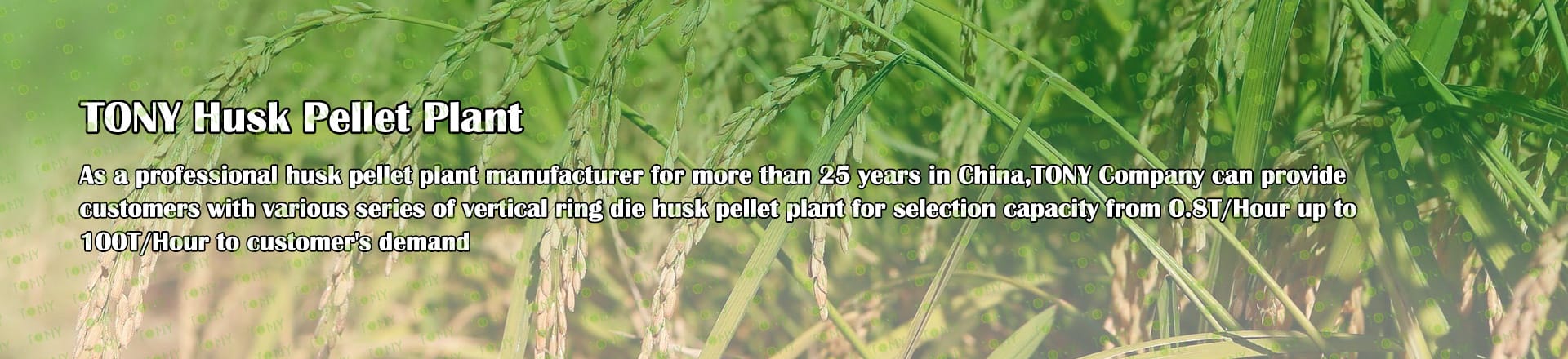 Husk Pellet Plant