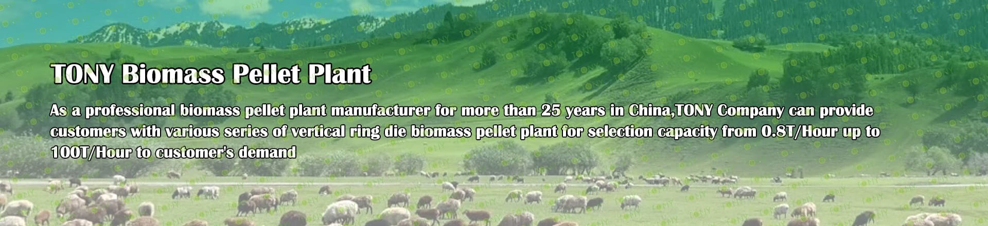 Biomass Pellet Plant