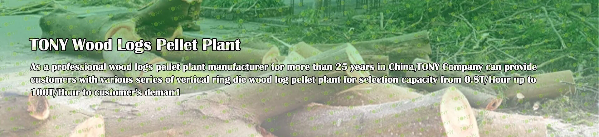 Wood Log Pellet Plant