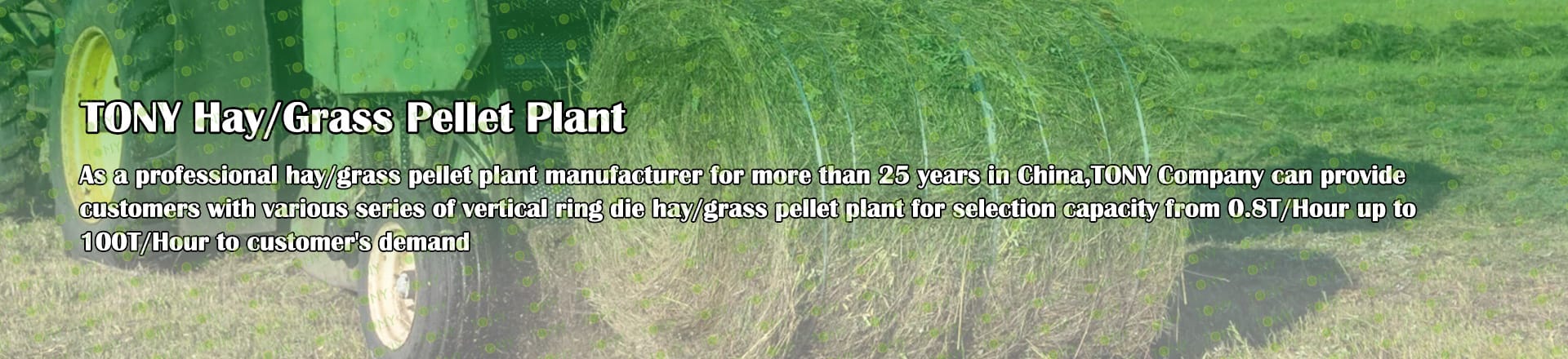 Hay/Grass/Alfalfa Pellet Plant