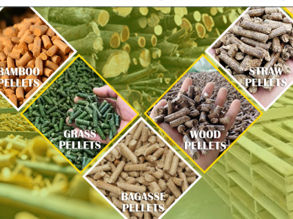 Extending the overall service life of biomass pellet mills -- Raw material pretreatment