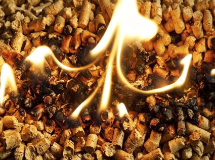Production Costs of Biomass Pellets: Analysis of Energy Consumption and Equipment Wear