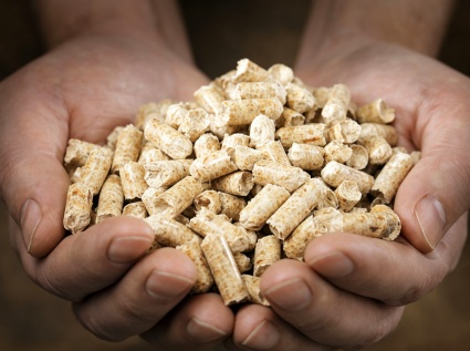 Cost Control in Biomass Pellet Production