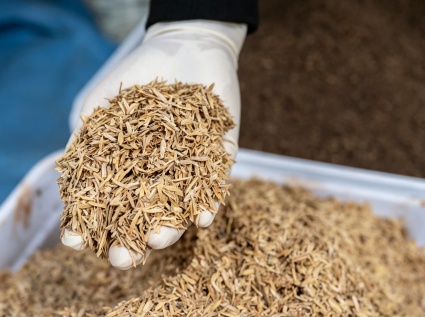 The profound impact of rice husk pellet machines on the biomass energy industry.