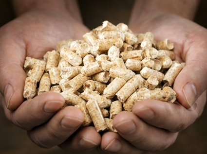 Production Costs of Biomass Pellets: Labor and Other Hidden Costs