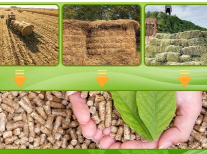 Agricultural and forestry waste is everywhere, making it an excellent raw material for pelleting.