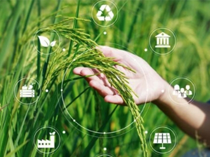 Biomass pellets help build a green energy cycle system